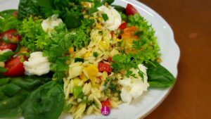 Griechischer Reisnudel-Salat mit Mozzarella - Kritharaki - die griechischen Mininudeln