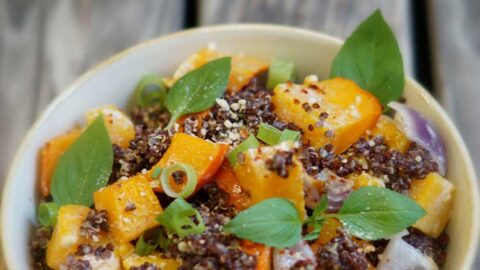 Ayurveda-Küche: Basilikum-Kürbis über Kokos-Quinoa - vegan