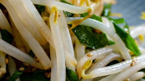 schneller Mungobohnensprossen-Salat